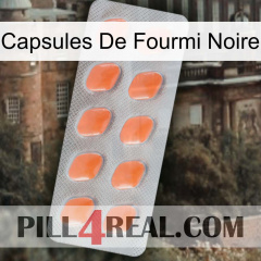 Black Ant Capsules 26